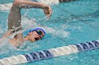 Swimming & Diving vs RWU  Swimming & Diving vs Roger Williams University. - Photo by Keith Nordstrom : Wheaton, Swimming